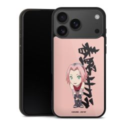 Gallery Case schwarz mit MagSafe