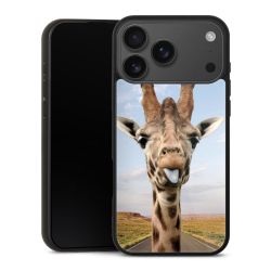 Gallery Case schwarz mit MagSafe