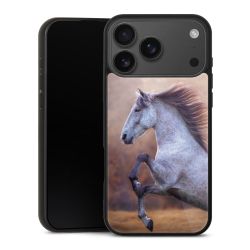 Gallery Case schwarz mit MagSafe