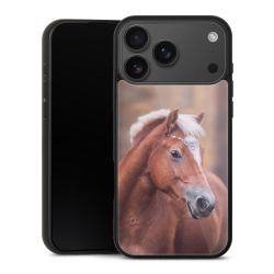 Gallery Case schwarz mit MagSafe