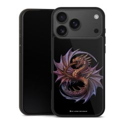 Gallery Case schwarz mit MagSafe