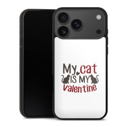 Gallery Case schwarz mit MagSafe