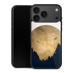 Twee vogels en de maan