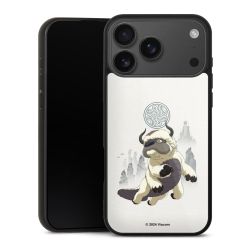 Gallery Case schwarz mit MagSafe