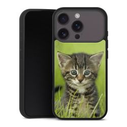 Gallery Case schwarz mit MagSafe