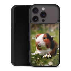 Gallery Case schwarz mit MagSafe