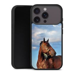 Gallery Case schwarz mit MagSafe