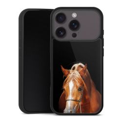 Gallery Case schwarz mit MagSafe