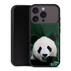 Gallery Case schwarz mit MagSafe