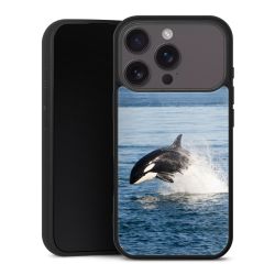 Gallery Case schwarz mit MagSafe