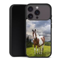 Gallery Case schwarz mit MagSafe