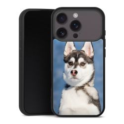 Gallery Case schwarz mit MagSafe