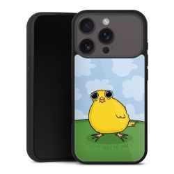 Gallery Case schwarz mit MagSafe