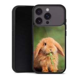 Gallery Case schwarz mit MagSafe