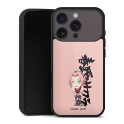 Gallery Case schwarz mit MagSafe