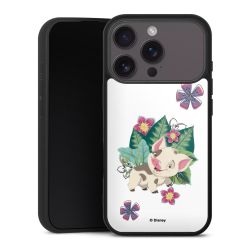 Gallery Case schwarz mit MagSafe