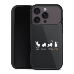 Gallery Case schwarz mit MagSafe