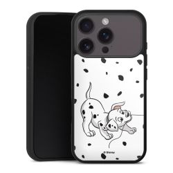 Gallery Case schwarz mit MagSafe