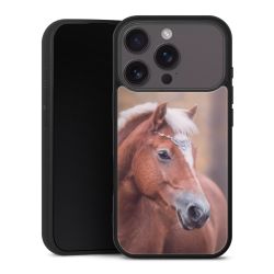 Gallery Case schwarz mit MagSafe