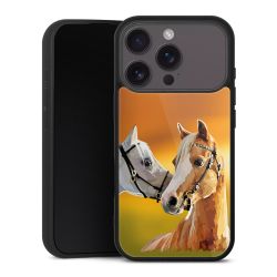 Gallery Case schwarz mit MagSafe