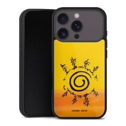 Gallery Case schwarz mit MagSafe