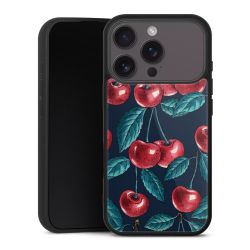 Gallery Case schwarz mit MagSafe