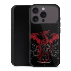 Gallery Case schwarz mit MagSafe