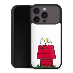 Snoopy and Woodstock Klassisch