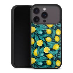 Gallery Case schwarz mit MagSafe