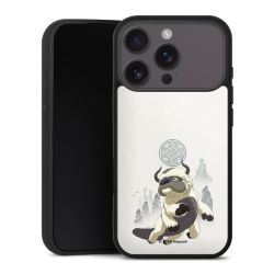 Gallery Case schwarz mit MagSafe