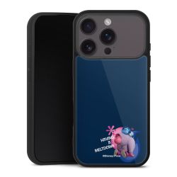 Gallery Case schwarz mit MagSafe