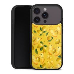 Gallery Case schwarz mit MagSafe