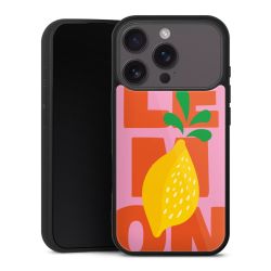 Gallery Case schwarz mit MagSafe