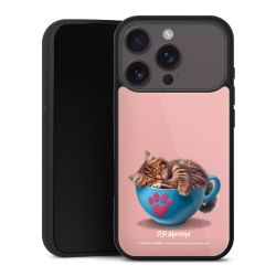 Gallery Case schwarz mit MagSafe