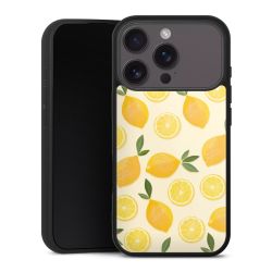 Gallery Case schwarz mit MagSafe