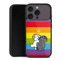 Gallery Case schwarz mit MagSafe