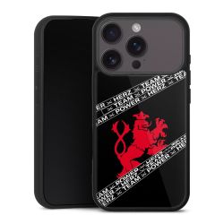 Gallery Case schwarz mit MagSafe