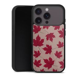 Gallery Case schwarz mit MagSafe