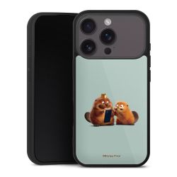 Gallery Case schwarz mit MagSafe