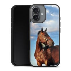 Gallery Case schwarz mit MagSafe