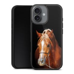 Gallery Case schwarz mit MagSafe