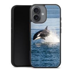 Gallery Case schwarz mit MagSafe