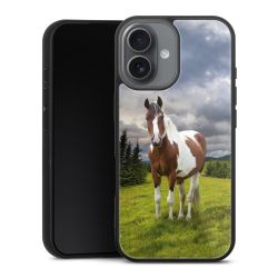 Gallery Case schwarz mit MagSafe