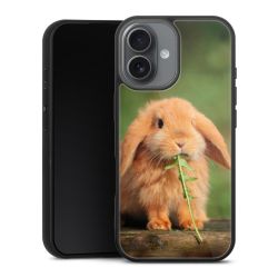 Gallery Case schwarz mit MagSafe