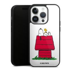 Snoopy and Woodstock Klassisch