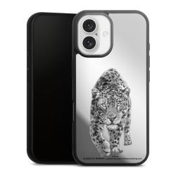Leopard transparent