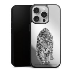 Mirror Case silber