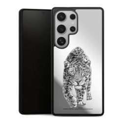Leopard transparent