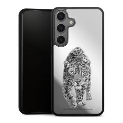 Leopard transparent