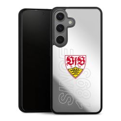 VfB Stuttgart Since 1893